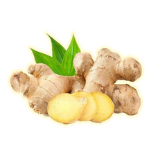 Tanaman Tanaman Herbal