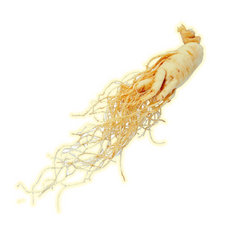 Tanaman Herbal