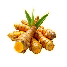 Tanaman Herbal