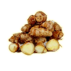 Tanaman Herbal